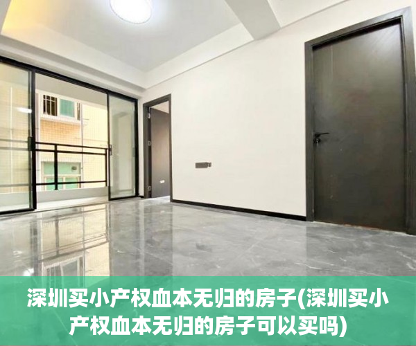 深圳买小产权血本无归的房子(深圳买小产权血本无归的房子可以买吗) 深圳买小产权血本无归的房子(深圳买小产权血本无归的房子可以买吗)