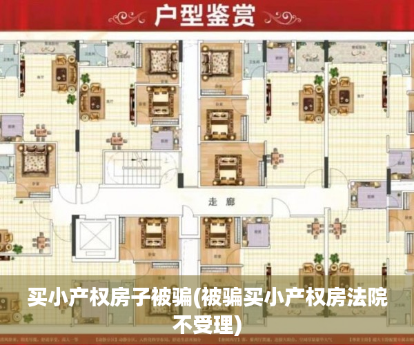 买小产权房子被骗(被骗买小产权房法院不受理)