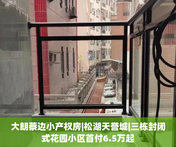 大朗蔡边小产权房|松湖天誉城|三栋封闭式花园小区首付6.5万起