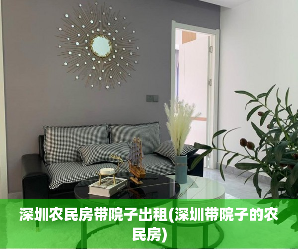 深圳农民房带院子出租(深圳带院子的农民房)