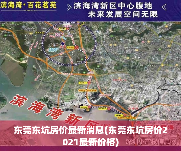东莞东坑房价最新消息(东莞东坑房价2021最新价格)