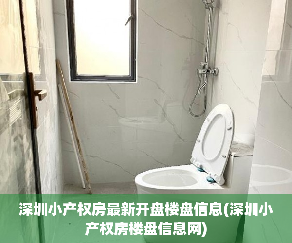 深圳小产权房最新开盘楼盘信息(深圳小产权房楼盘信息网)