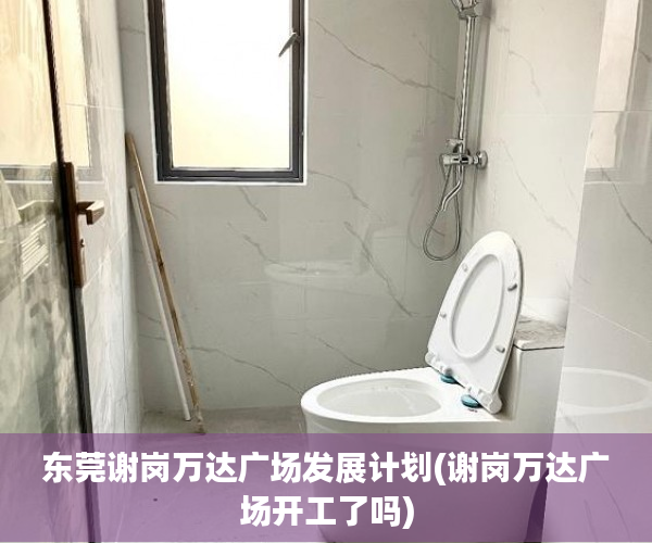 东莞谢岗万达广场发展计划(谢岗万达广场开工了吗)
