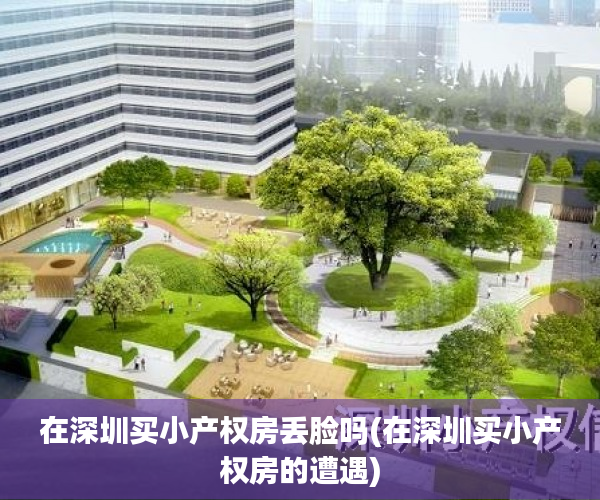 在深圳买小产权房丢脸吗(在深圳买小产权房的遭遇) 在深圳买小产权房丢脸吗(在深圳买小产权房的遭遇)