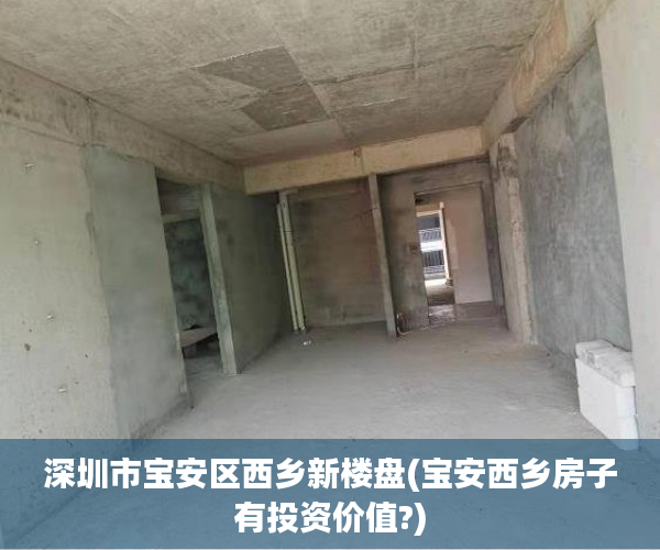 深圳市宝安区西乡新楼盘(宝安西乡房子有投资价值?)