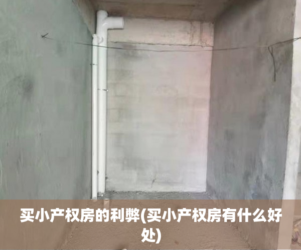 买小产权房的利弊(买小产权房有什么好处) 买小产权房的利弊(买小产权房有什么好处)