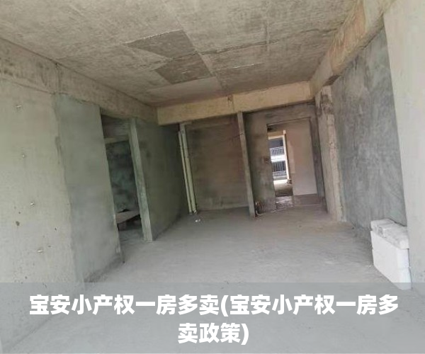 宝安小产权一房多卖(宝安小产权一房多卖政策) 宝安小产权一房多卖(宝安小产权一房多卖政策)
