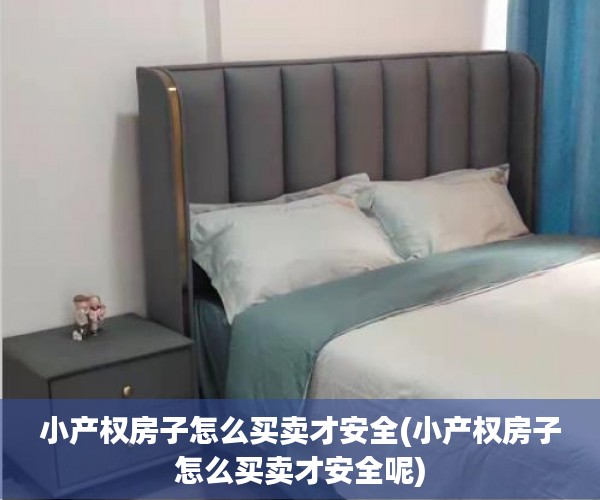 小产权房子怎么买卖才安全(小产权房子怎么买卖才安全呢)