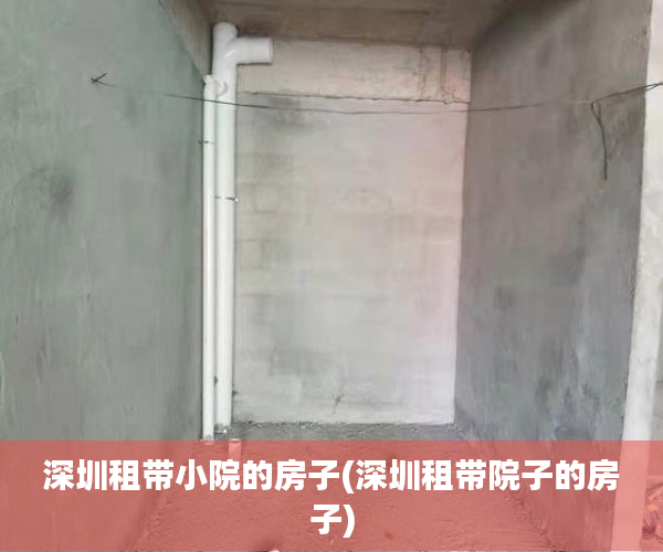 深圳租带小院的房子(深圳租带院子的房子)