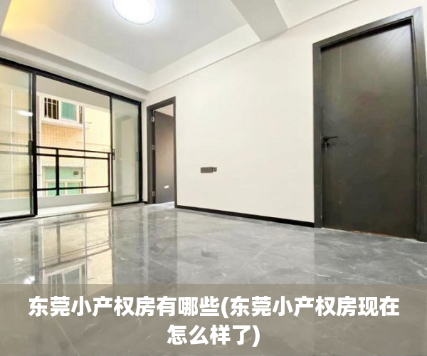 东莞小产权房有哪些(东莞小产权房现在怎么样了) 东莞小产权房有哪些(东莞小产权房现在怎么样了)
