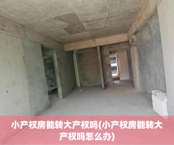 小产权房能转大产权吗(小产权房能转大产权吗怎么办) 小产权房能转大产权吗(小产权房能转大产权吗怎么办)