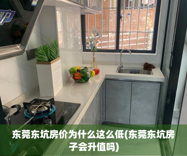 东莞东坑房价为什么这么低(东莞东坑房子会升值吗)