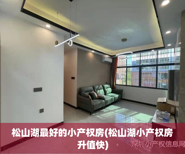 松山湖最好的小产权房(松山湖小产权房升值快)