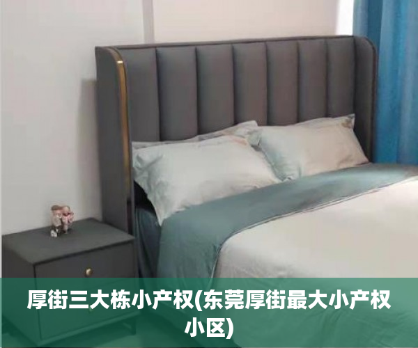厚街三大栋小产权(东莞厚街最大小产权小区)