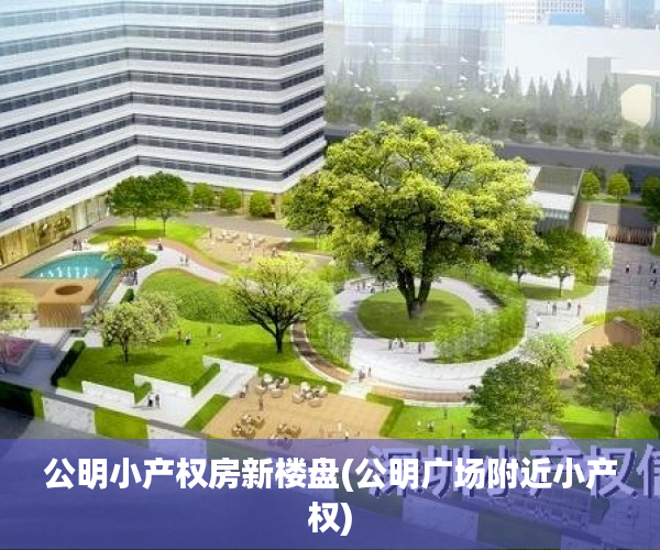 公明小产权房新楼盘(公明广场附近小产权)