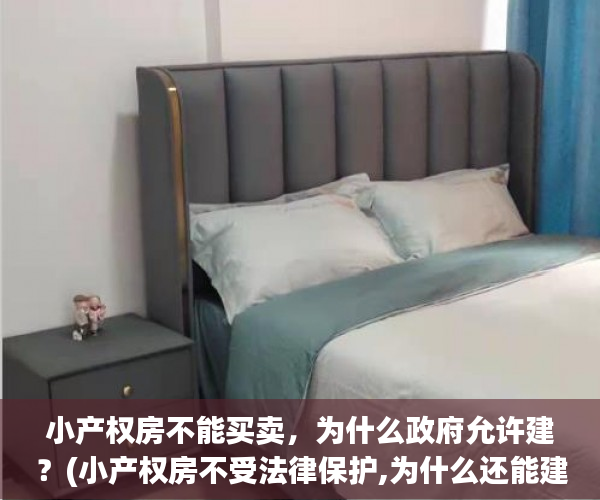 小产权房不能买卖，为什么政府允许建？(小产权房不受法律保护,为什么还能建造)