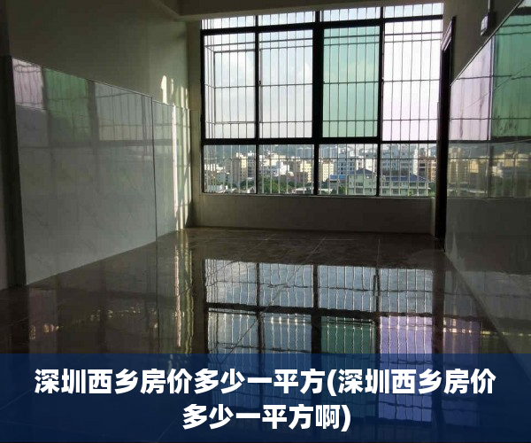 深圳西乡房价多少一平方(深圳西乡房价多少一平方啊)
