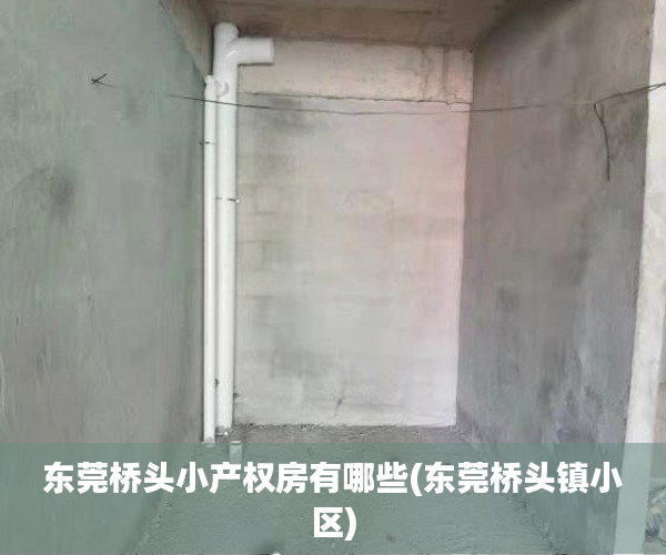 东莞桥头小产权房有哪些(东莞桥头镇小区)