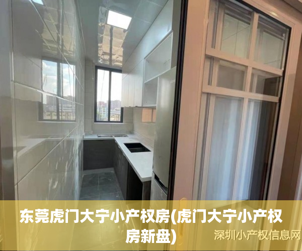 东莞虎门大宁小产权房(虎门大宁小产权房新盘)