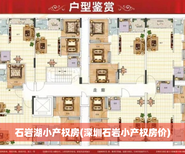 石岩湖小产权房(深圳石岩小产权房价)