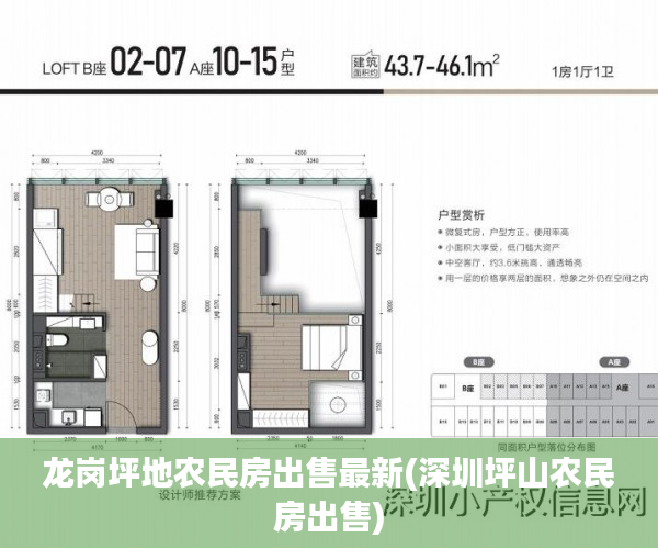 龙岗坪地农民房出售最新(深圳坪山农民房出售)