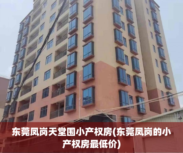 东莞凤岗天堂围小产权房(东莞凤岗的小产权房最低价)