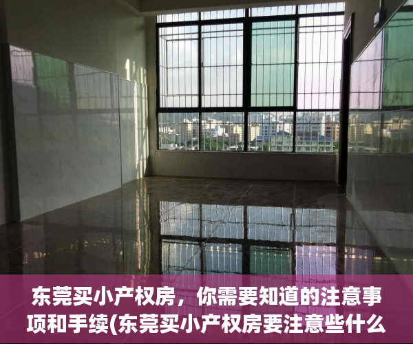 东莞买小产权房，你需要知道的注意事项和手续(东莞买小产权房要注意些什么)