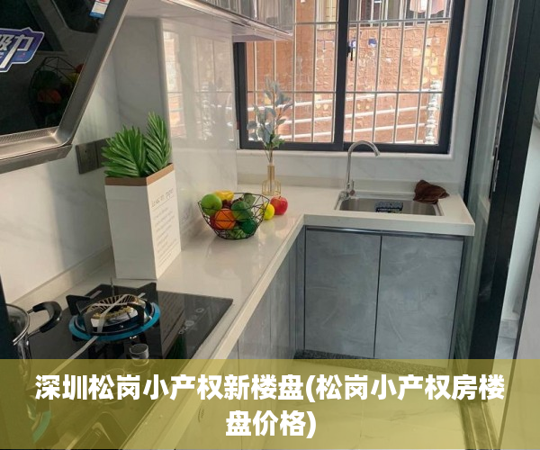 深圳松岗小产权新楼盘(松岗小产权房楼盘价格) 深圳松岗小产权新楼盘(松岗小产权房楼盘价格)