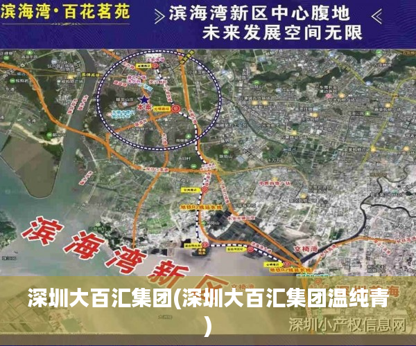深圳大百汇集团(深圳大百汇集团温纯青) 深圳大百汇集团(深圳大百汇集团温纯青)