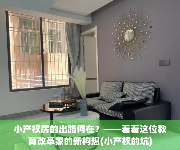 小产权房的出路何在？——看看这位教育改革家的新构想(小产权的坑)