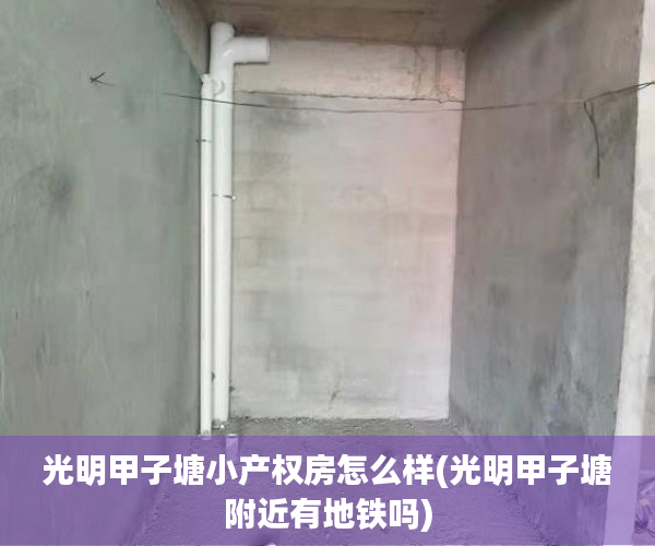 光明甲子塘小产权房怎么样(光明甲子塘附近有地铁吗)