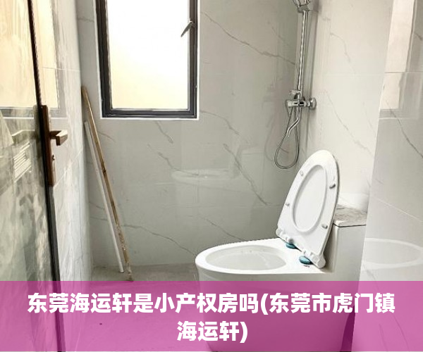 东莞海运轩是小产权房吗(东莞市虎门镇海运轩) 东莞海运轩是小产权房吗(东莞市虎门镇海运轩)