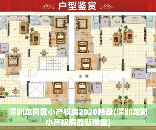 深圳龙岗区小产权房2020新盘(深圳龙岗小产权房最新楼盘)
