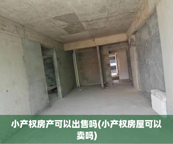 小产权房产可以出售吗(小产权房屋可以卖吗) 小产权房产可以出售吗(小产权房屋可以卖吗)