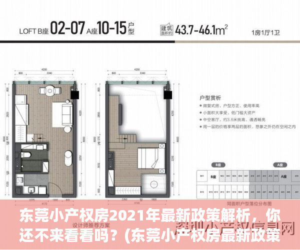 东莞小产权房2021年最新政策解析，你还不来看看吗？(东莞小产权房最新政策2020阳光网)