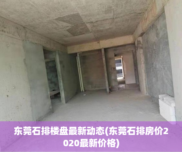 东莞石排楼盘最新动态(东莞石排房价2020最新价格) 东莞石排楼盘最新动态(东莞石排房价2020最新价格)