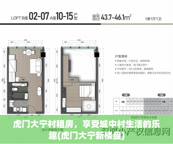 虎门大宁村租房，享受城中村生活的乐趣(虎门大宁新楼盘)