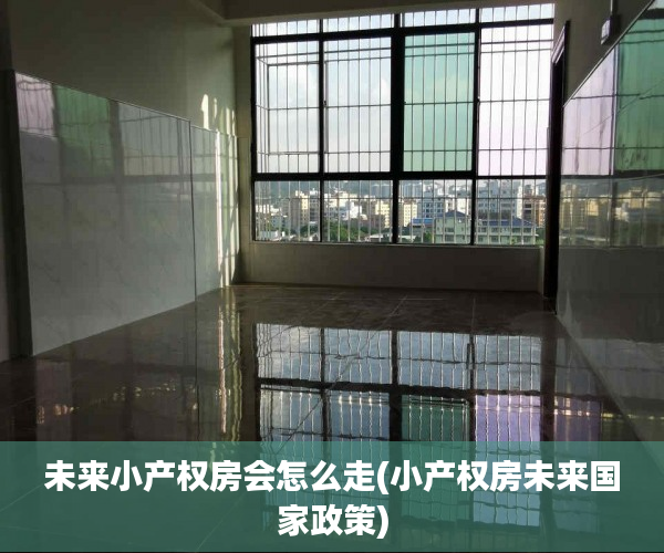 未来小产权房会怎么走(小产权房未来国家政策)