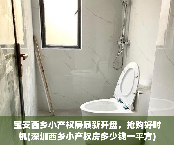 宝安西乡小产权房最新开盘，抢购好时机(深圳西乡小产权房多少钱一平方)