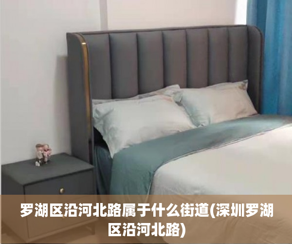 罗湖区沿河北路属于什么街道(深圳罗湖区沿河北路) 罗湖区沿河北路属于什么街道(深圳罗湖区沿河北路)