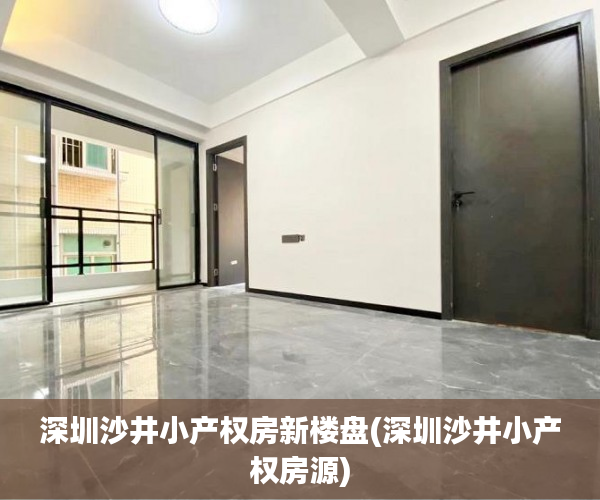 深圳沙井小产权房新楼盘(深圳沙井小产权房源)