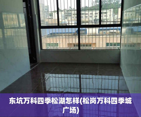 东坑万科四季松湖怎样(松岗万科四季城广场)