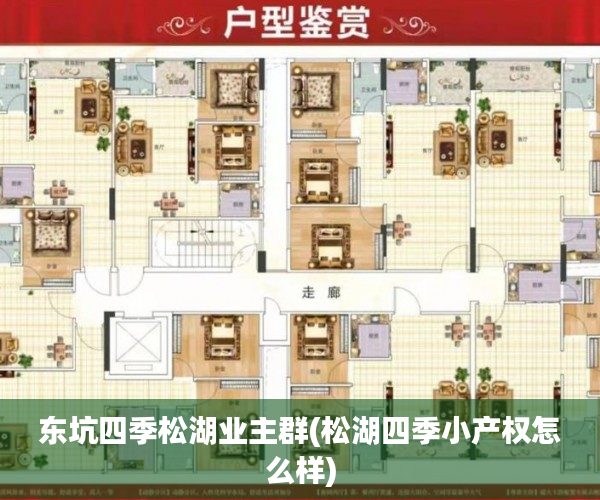 东坑四季松湖业主群(松湖四季小产权怎么样)