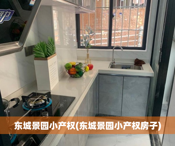 东城景园小产权(东城景园小产权房子) 东城景园小产权(东城景园小产权房子)