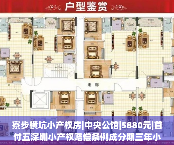 寮步横坑小产权房|中央公馆|5880元|首付五深圳小产权赔偿条例成分期三年小产权房_东莞小产权房