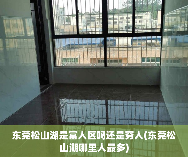 东莞松山湖是富人区吗还是穷人(东莞松山湖哪里人最多)