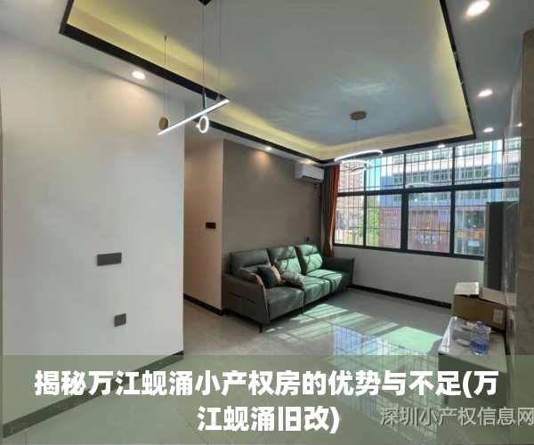 揭秘万江蚬涌小产权房的优势与不足(万江蚬涌旧改)