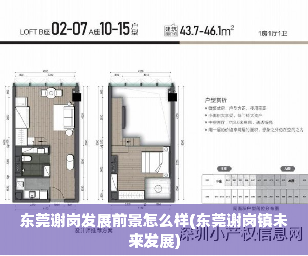 东莞谢岗发展前景怎么样(东莞谢岗镇未来发展) 东莞谢岗发展前景怎么样(东莞谢岗镇未来发展)