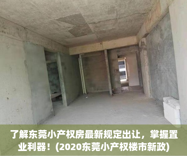 了解东莞小产权房最新规定出让，掌握置业利器！(2020东莞小产权楼市新政)