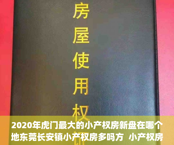 2020年虎门最大的小产权房新盘在哪个地东莞长安镇小产权房多吗方  小产权房_黑体